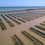 Champ De Ble Neuf Independant Plain Pied Dans Maison Contemporaine Decoration Soignee Confort Terrasse Amenagee, Grand Terrain Parking Prive A 15 Mn De Caen Et 10 Mn Debayeux Proche Plages Du Debarquement * Loucelles