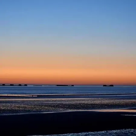 Champ De Ble Neuf Independant Plain Pied Dans Maison Contemporaine Decoration Soignee Confort Terrasse Amenagee, Grand Terrain Parking Prive A 15 Mn De Caen Et 10 Mn Debayeux Proche Plages Du Debarquement Loucelles