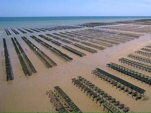 Champ De Blé Neuf Indépendant Plain Pied Dans Maison Contemporaine Décoration Soignée Confort Terrasse Aménagée, Grand Terrain Parking Privé à 15 Mn De Caen Et 10 Mn Debayeux Proche Plages Du Débarquement * Loucelles